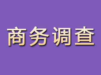 鹤山商务调查