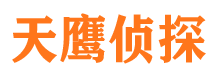 鹤山调查公司